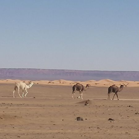 Nomad Camp Merzouga Exterior photo